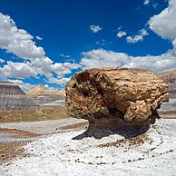 Versteende boomstam langsheen de Blue Mesa wandelweg in het Painted Desert en Petrified Forest NP, Arizona, USA
<BR><BR>Zie ook www.arterra.be</P>